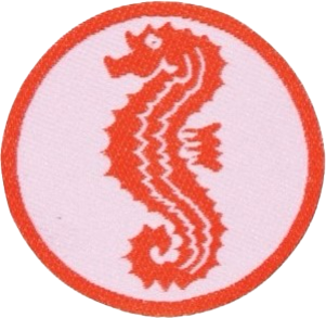 Seepferdchen